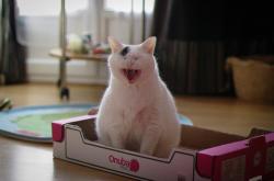 英雄联盟总决赛门票-与子同袍，美加墨暴雨夜，拉梅洛扛起的不只是一支球队