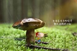 英雄联盟总决赛直播-跨界奇迹，广东队铁血防守锁死爵士，NBA总决赛惊现历史性焦点战