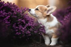 英雄联盟总决赛-唯一出线权，塞内加尔与厄瓜多尔的宿命对决，如何成为载入史册的年度焦点之战？