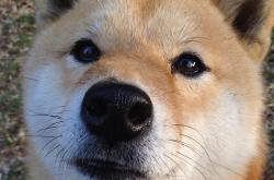 英雄联盟总决赛门票-赛道硝烟未散，球场已鸣终场哨，速度时代的两极48小时