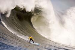 LOL决赛-铁骑无双，骑士冠绝联盟破热火，小贾伦欧战赛场封神