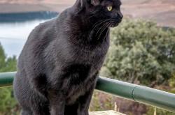 LOL决赛-那个戴错号码的天使，在篮球场上踢出了一脚改变命运的落叶球