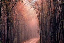 小组赛NBA惊现足球巨星!哈兰德率神秘队险胜葡萄牙引爆全球热搜