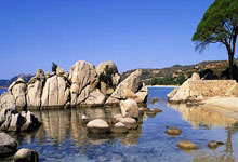 西雅图海湾者队长激励全队,挑战强敌士气高昂