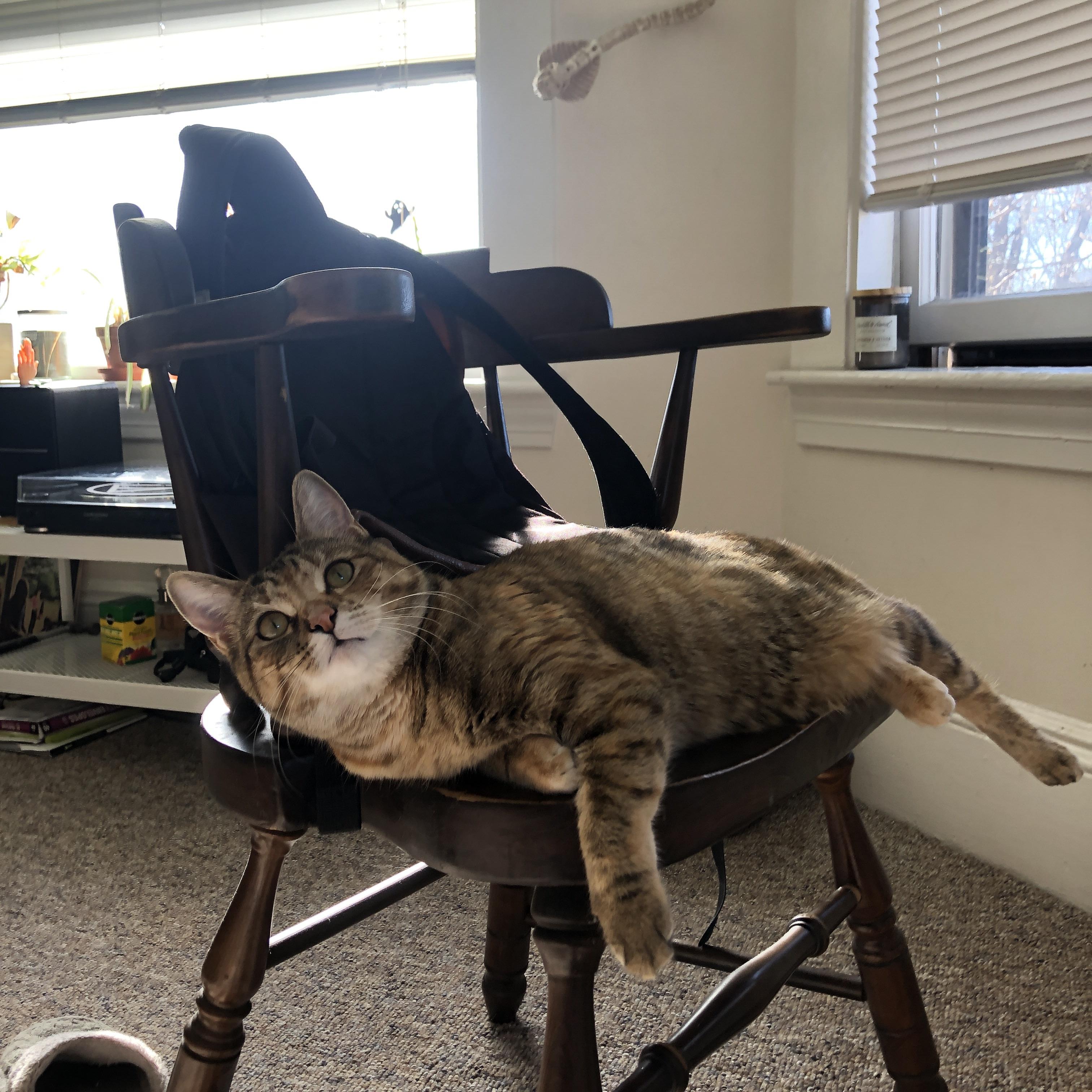 冰封的艺术与熔岩的奔涌,当范戴克的节奏遇见尤文的意志