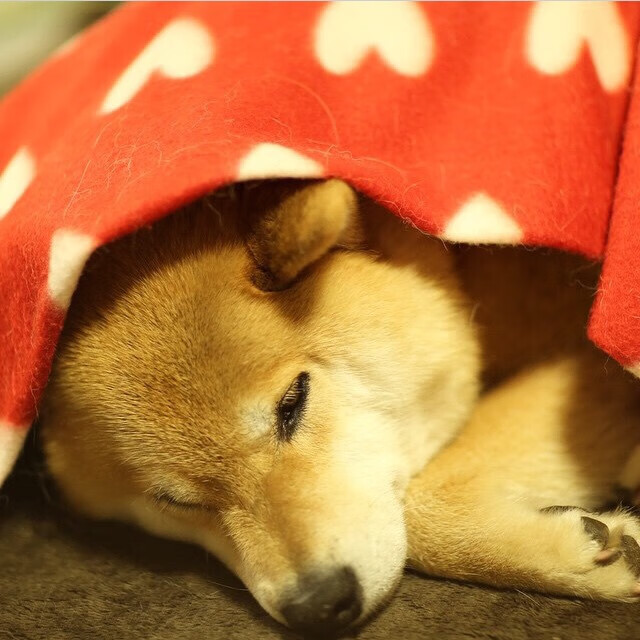 深水炸弹!保罗末节15分导演逆转,鹈鹕惊险灭火活塞