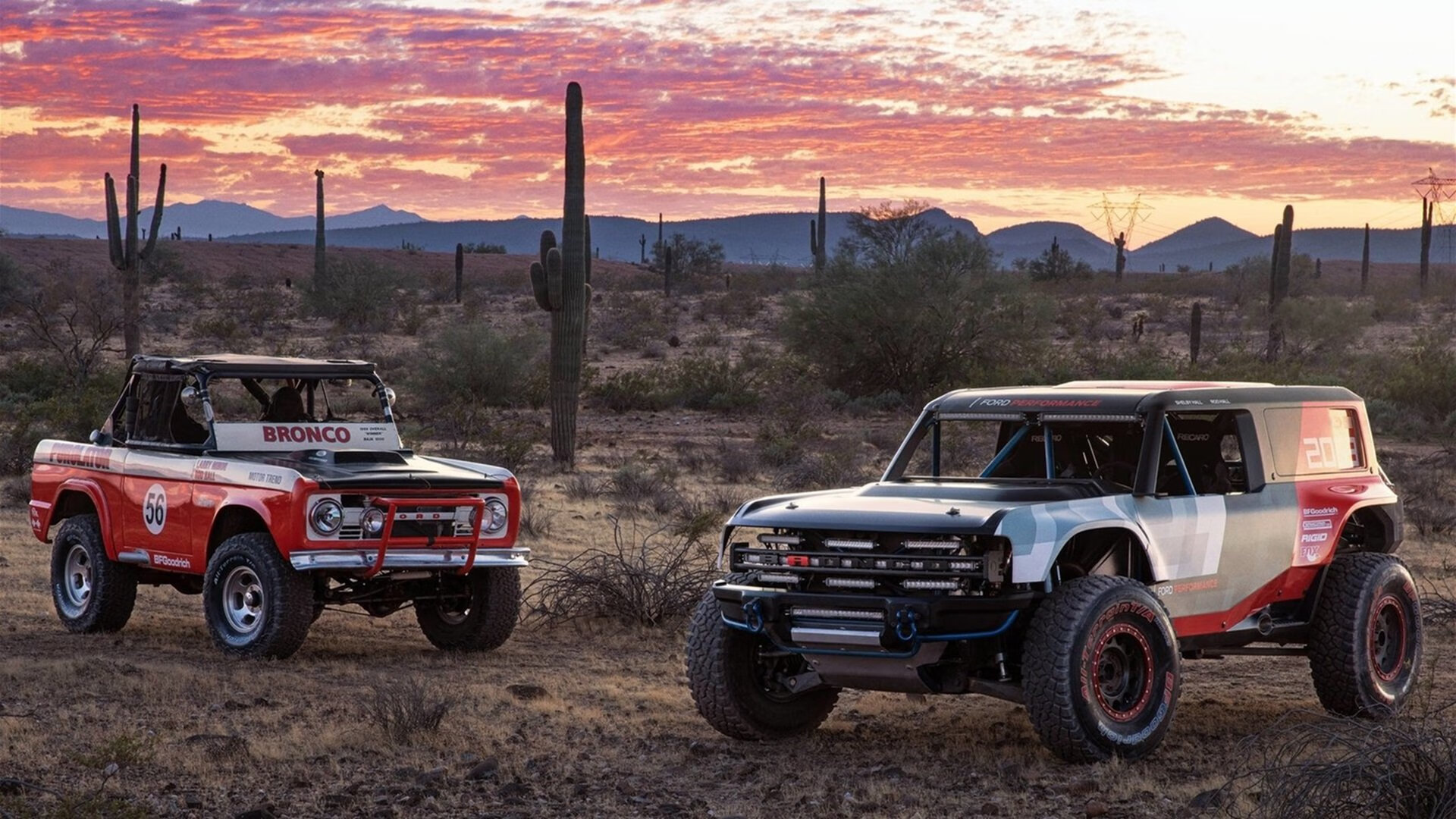 双面神归位，库里撕裂掘金防线背后的英雄主义孤歌