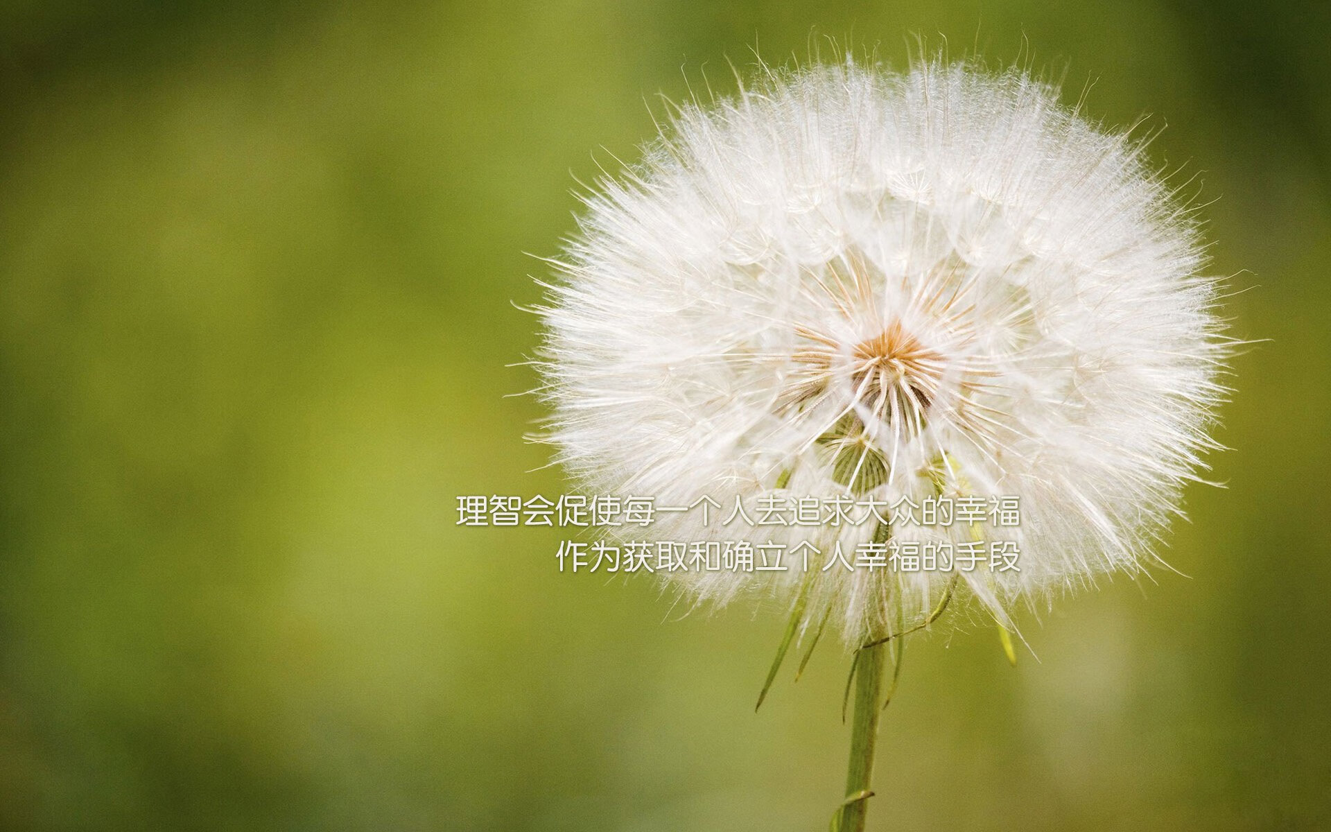 破壁者,当个人微光成为团队的烈焰—巴尔韦德如何撕碎密集体系的铁幕