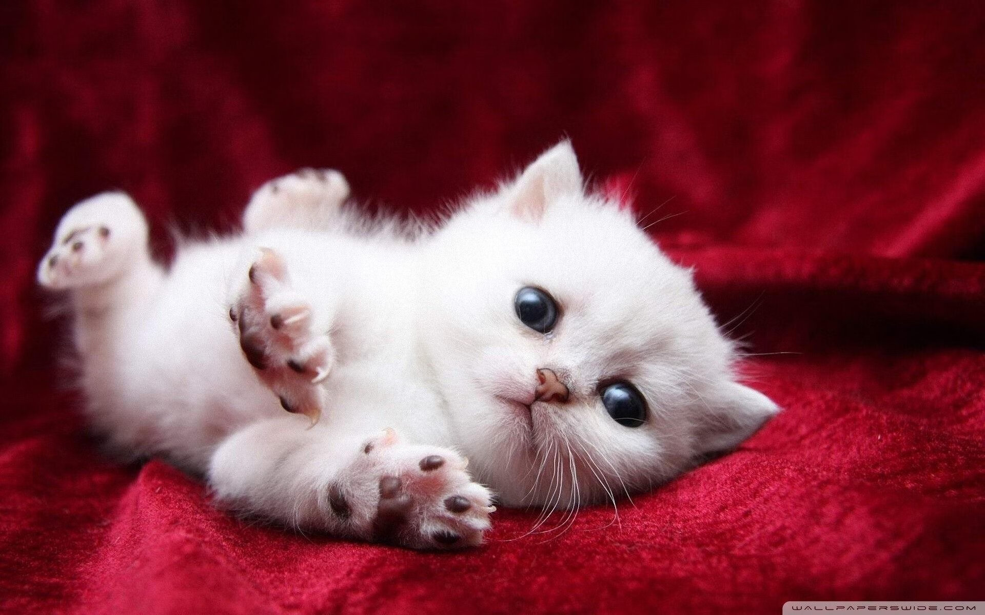 生涯之夜!乔治狂砍50分,太阳绝地反击硬仗取胜新疆