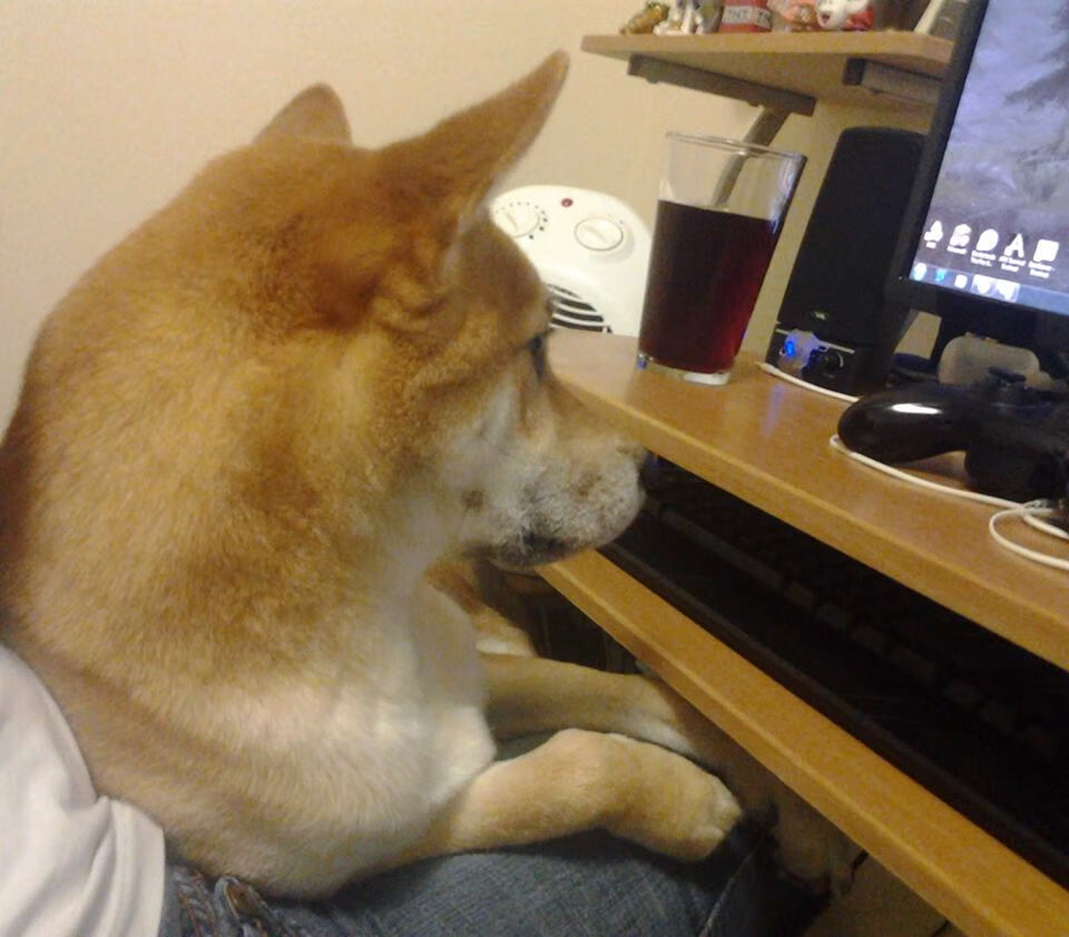 雪夜驯鹿与烈焰探戈，苏亚雷斯如何用节奏肢解芬兰防线