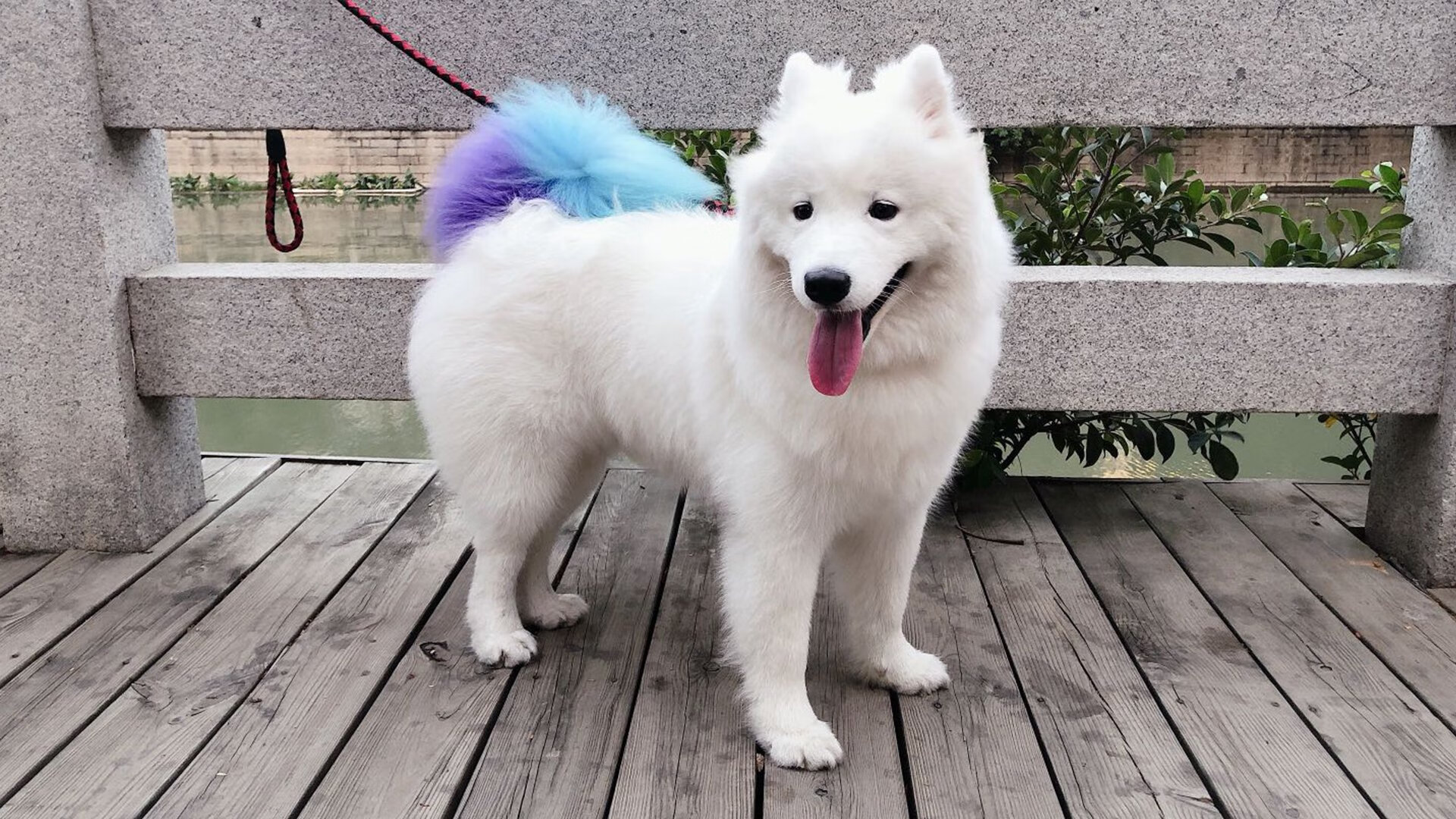 北美寒流侵袭三晋大地，篮网爆冷山西队，西亚卡姆三双狂潮震惊CBA