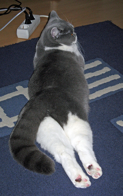 从边陲到核心，富安健洋，在欧冠决赛之夜重新定义大场面先生