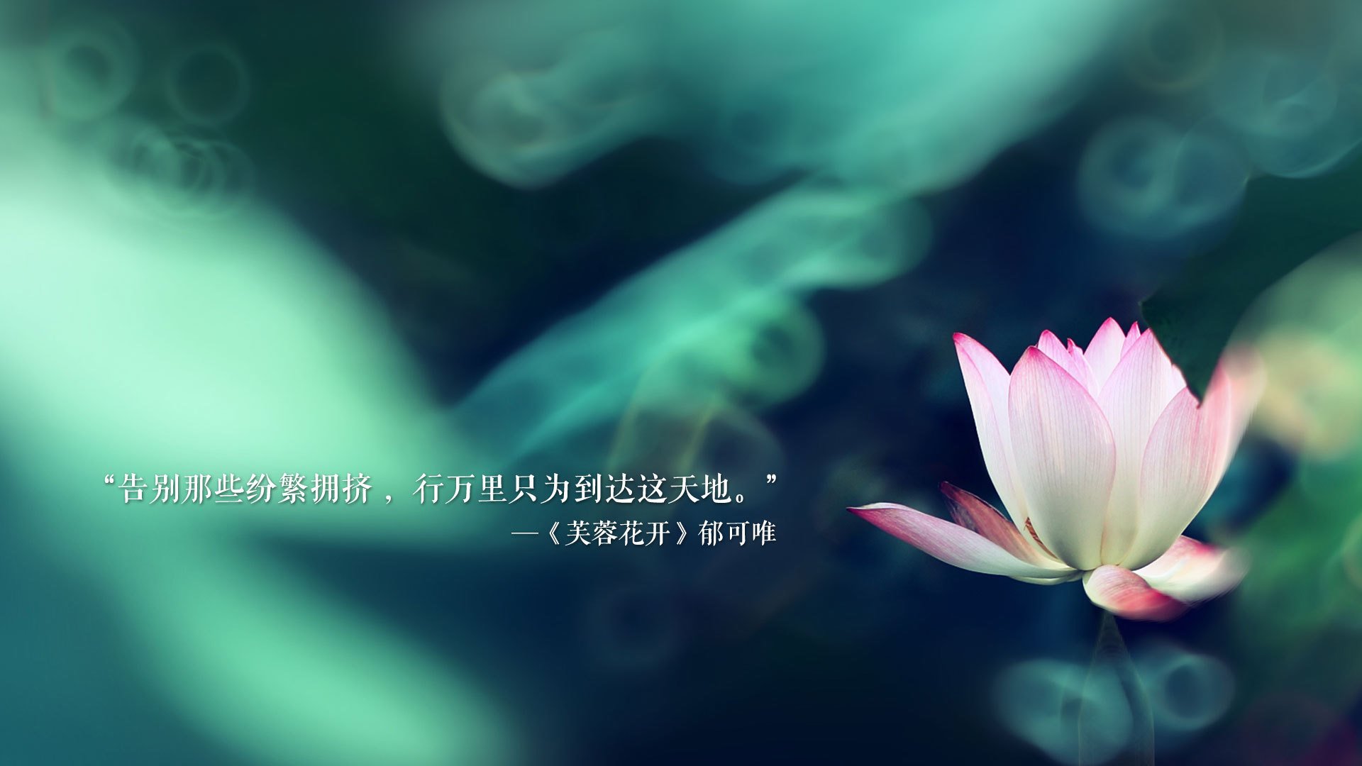 北域之光与东南亚风暴，阿方索·戴维斯点爆美加墨世界杯最紧凑一战