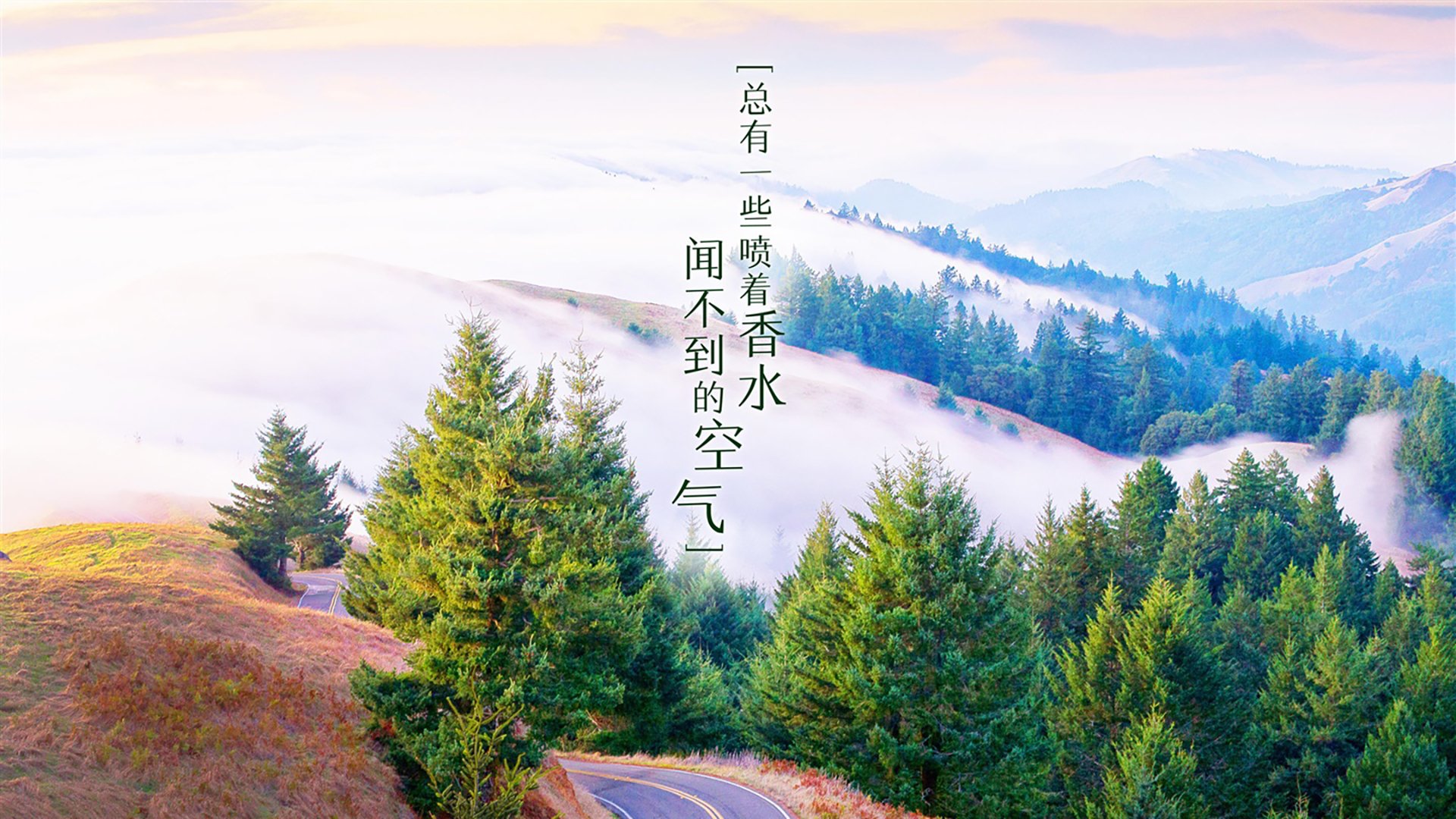 桑巴风暴，2026世界杯B组焦点战，巴西碾压阿联酋，维尼修斯用强硬对抗写就唯一答案