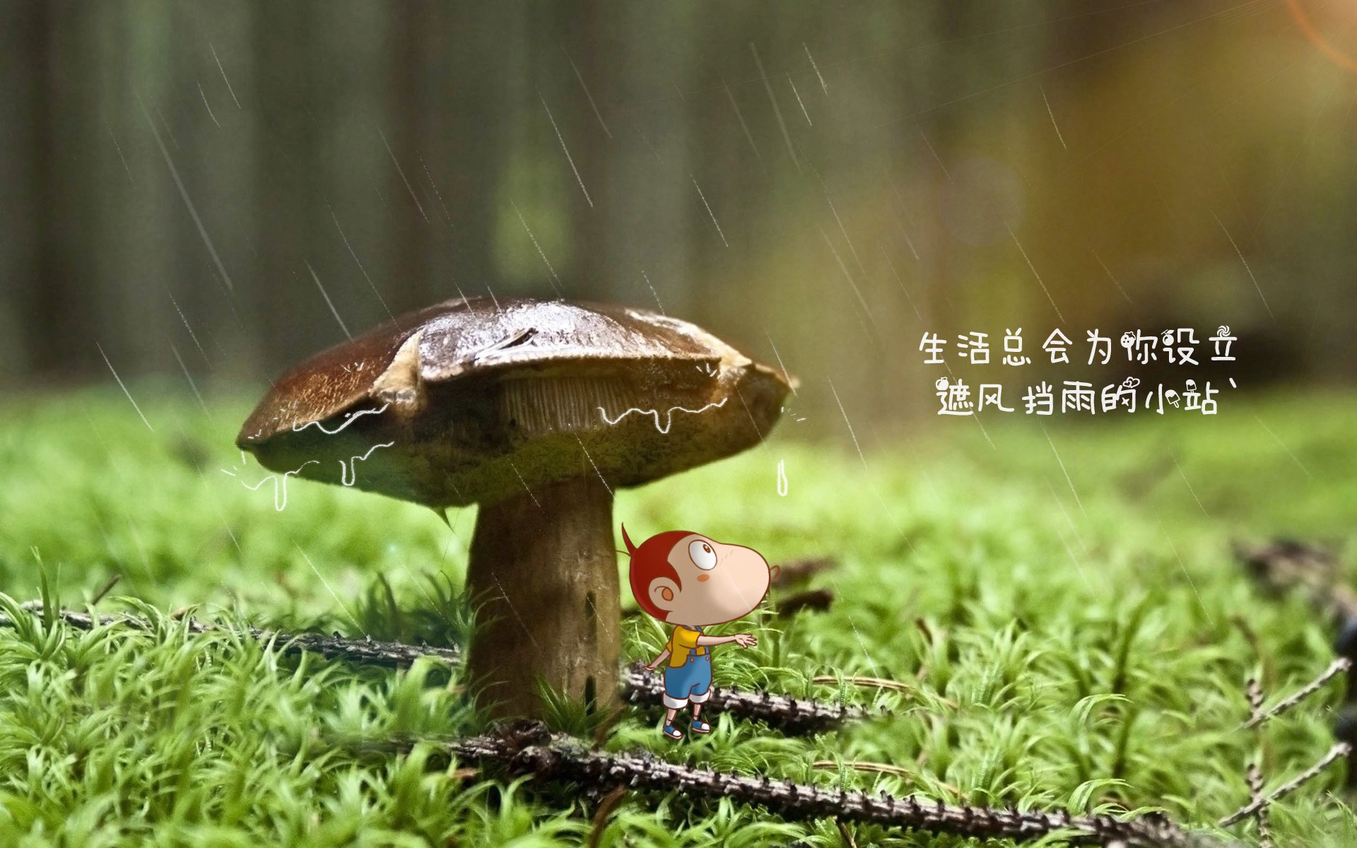 唯一血夜，2026世界杯C组，哥伦比亚撕碎奥地利，哈基米以一己之力定义强强对话