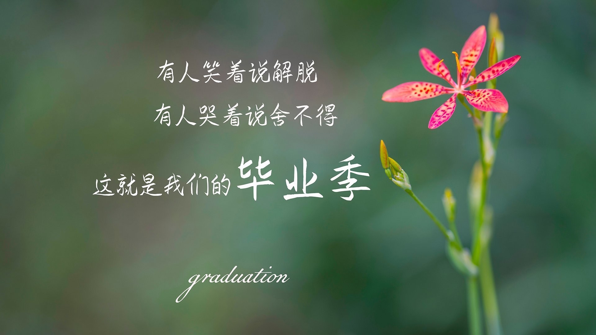 2026世界杯揭幕战，三国杀变独幕剧，吉鲁与英格兰联手改写了剧本